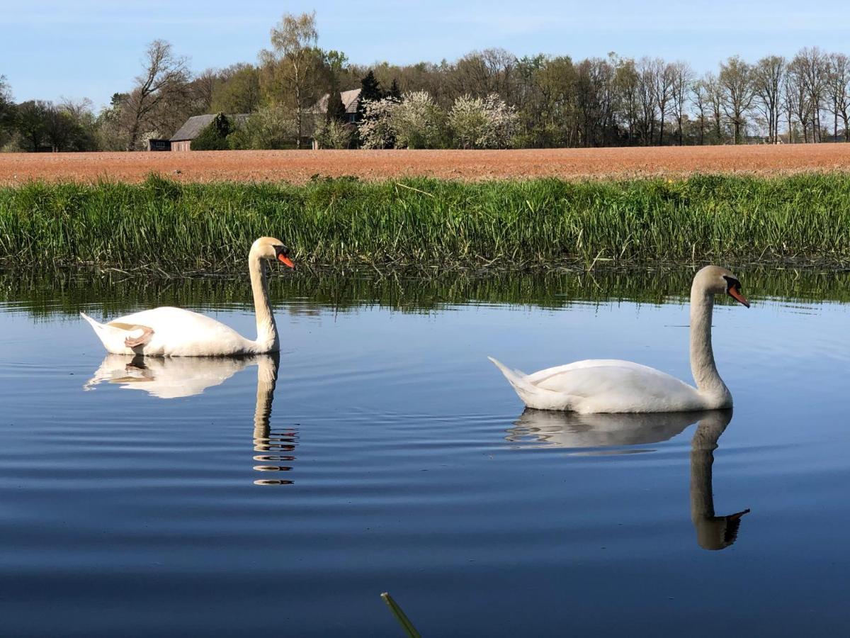 Vakantiehuis Bielheimerbeek Doetinchem Exteriér fotografie